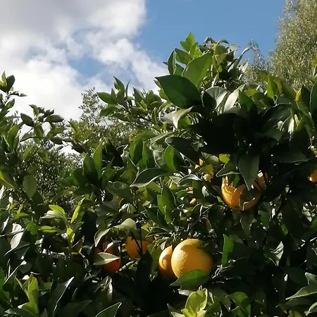 Charming In With Shared Pool - 70 M² *