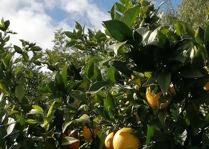 Charming In With Shared Pool - 70 M² *